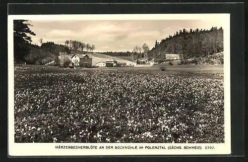 AK Cunnersdorf, Bockmühle im Polenztal