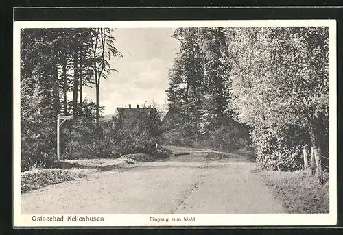 AK Kellenhusen, Eingang zum Wald