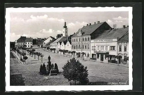 AK Veselí n. Luz., Okresni Zalozno Hospodarska