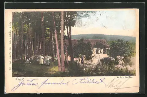 AK Pisek, Partie u Honzicka