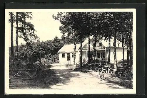 AK Pisek, Gasthaus Hütte Zum Waldmeer