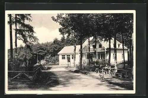 AK Pisek, Gasthaus Hütte zum Waldmeer