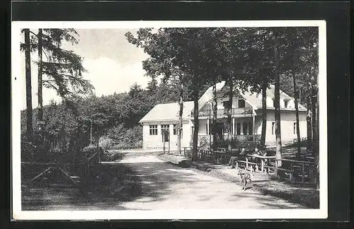 AK Pisek, Gasthaus Hütte zum Waldmeer