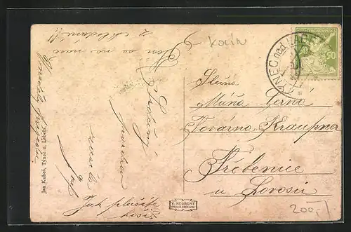 AK Týnec nad Labem, Teich im Stadtkern