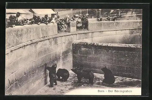 AK Bern, Besucher schauen zu den Bären in dem Bärengraben