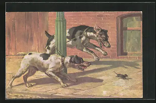 AK Hunde verfolgen eine Ratte