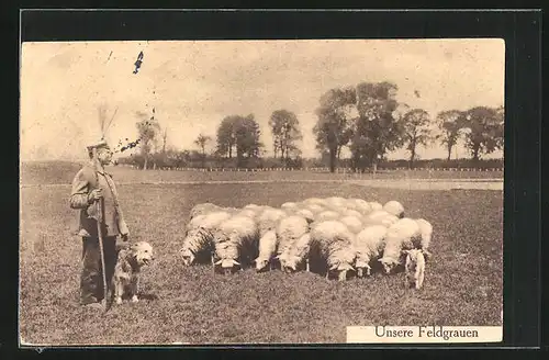 AK Schäfer mit Herde von Schafen auf einer Wiese