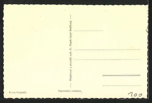 AK Bad Podiebrad / Podebrady, Park Hotel Tlapak