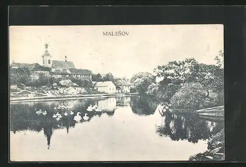 AK Malesov, Schwäne auf dem See, Blick zur Kirche