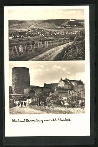 AK Hammelburg, Ortsansicht und Schloss Saaleck