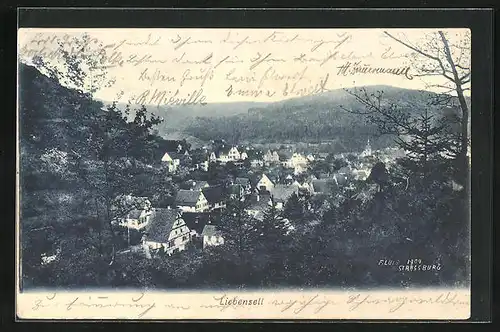 AK Liebenzell, Ortsansicht aus der Vogelschau
