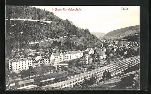 AK Calw, Ortspartie mit Höherer Handelsschule aus der Vogelschau