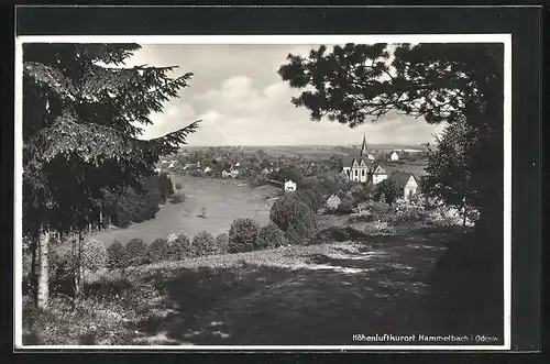 AK Hammelbach i. Odenw., Ortsansicht aus der Vogelschau