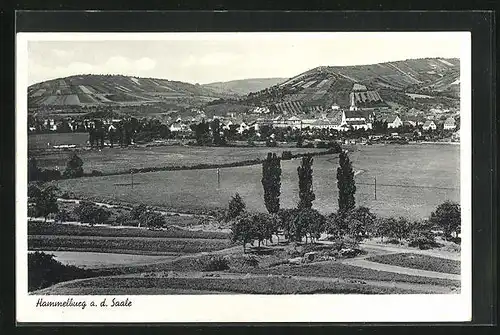 AK Hammelburg a. d. Saale, Ortsansicht aus der Vogelschau