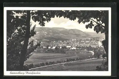 AK Hammelburg / Mainfranken, Gesamtansicht