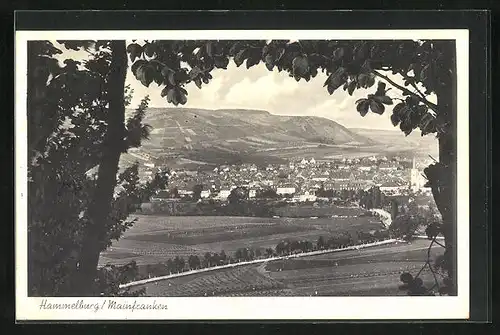 AK Hammelburg / Mainfranken, Gesamtansicht
