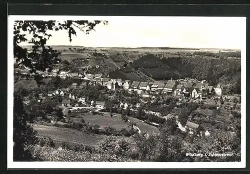 AK Wildberg / Schwarzwald, Gesamtansicht