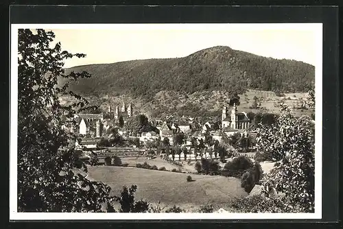 AK Amorbach / Odenwald, Blick vom Sommerberg