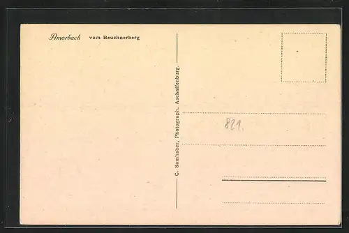 AK Amorbach i. Odw., Ortsansicht vom Beuchnerberg aus gesehen