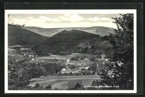 AK Amorbach i. Odw., Ortsansicht aus der Vogelschau