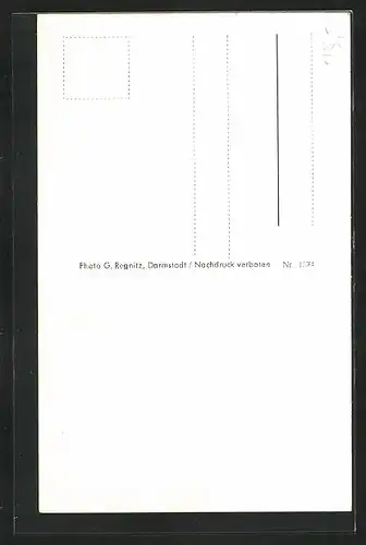 AK Erbach i. Odw., Schlosswache, Rathaus und Kirche