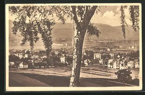 AK Mähr. Schönberg, Panorama