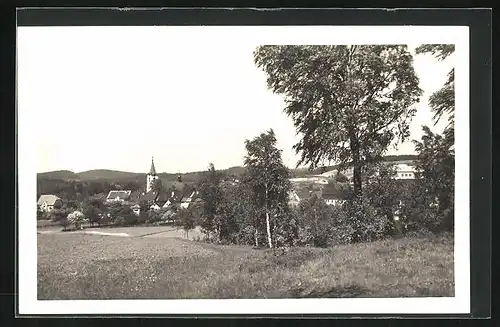 AK Novy Hradek u Noveho Mseta n. Met, Panorama