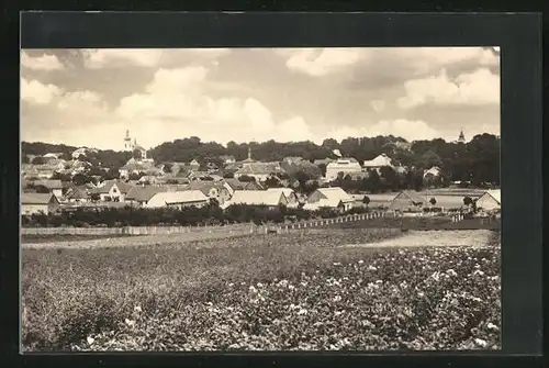 AK Dymokury, Celkový pohled