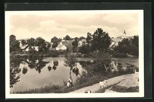 AK Sedlec u Sedlcan, Ortsansicht mit Kirche und See