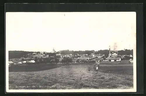 AK Dymokury, Celkový pohled