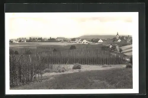 AK Mutejovice, Ortsansicht mit Kirche