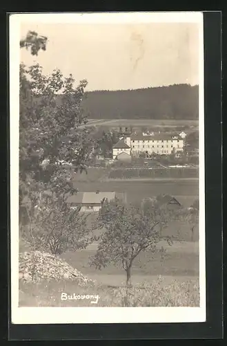 AK Bukovany, Ortspartie aus der Vogelschau