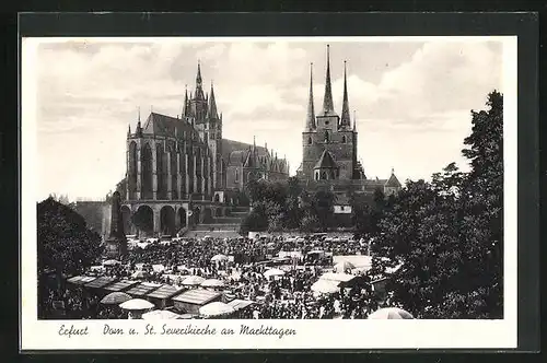 AK Erfurt, Dom und St. Severikirche an Markttagen