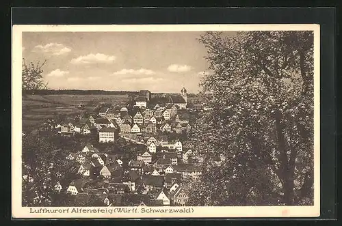 AK Altensteig (Württ. Schwarzwald), Ortsansicht aus der Vogelschau