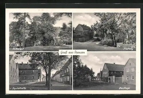 AK Domsen, Rittergut, Dorfstrasse, Tiefweg, Dorflage