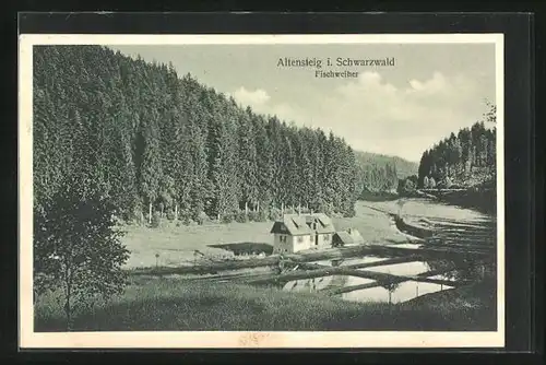 AK Altensteig / Schwarzwald, Fischweiher