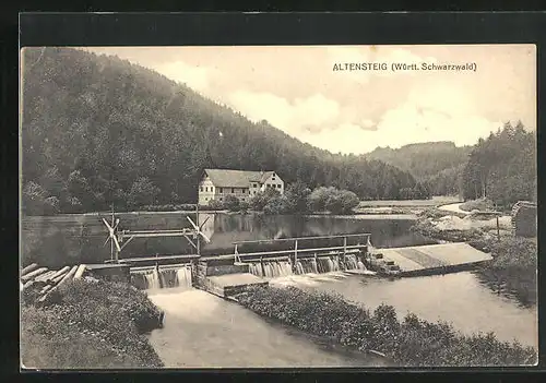 AK Altensteig / Schwarzwald, Wehrpartie