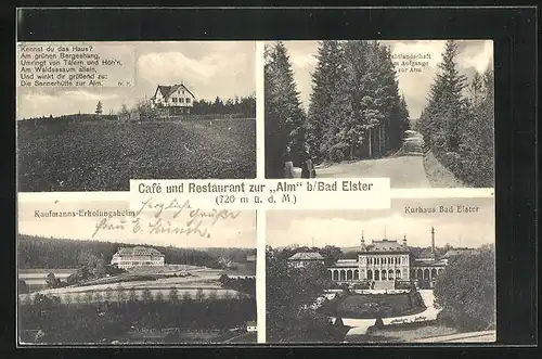 AK Bad Elster, Cafè und Restaurant zur Alm, Kurhaus, Kaufmanns-Erholungsheim, Waldlandschaft