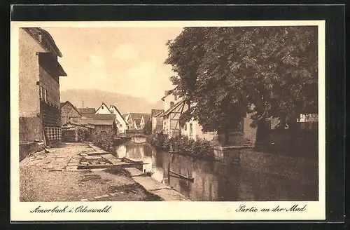 AK Amorbach im Odenwald, Partie an der Mud