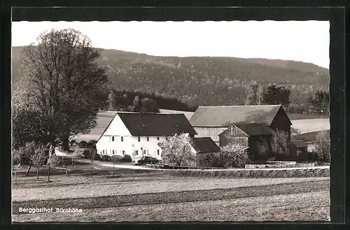 AK Friedenfels, Berggasthof Bärnhöhe