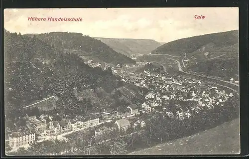 AK Calw, Ortsansicht und Höhere Handelsschule aus der Vogelschau