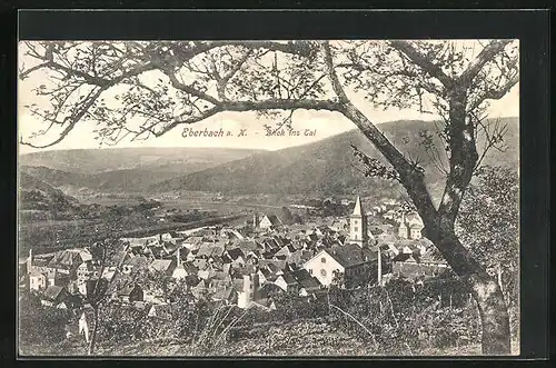 AK Eberbach a. N., Ortsansicht, Blick ins Tal