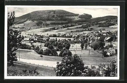 AK Wildflecken / Rhön, Ortsansicht mit grossem Auersberg