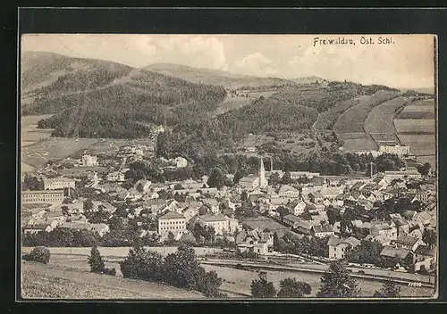 AK Freiwaldau, Celkovy pohled, Ortsansicht