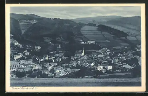 AK Freiwaldau, Celkovy pohled, Teilansicht mit Blick ins Land