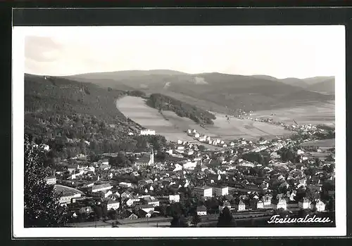 AK Freiwaldau, Celkovy pohled, Ortsansicht im Sonnenlicht