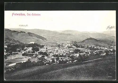 AK Freiwaldau, Celkovy pohled, Panorama mit Ort und Umgebung