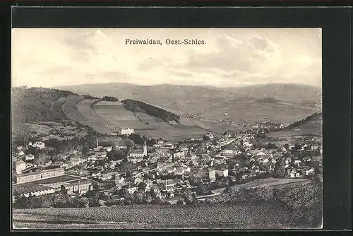 AK Freiwaldau, Celkovy pohled, Ortsansicht mit Blick ins Land