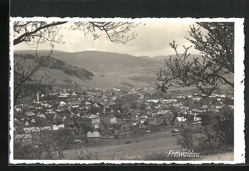 AK Freiwaldau, Celkovy pohled, Blick von einem Hügel auf den Ort