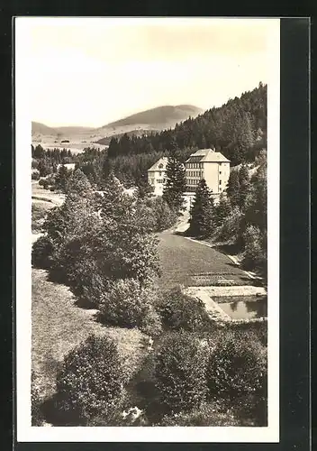 AK Staré Mesto pod Sneznikem, Grosses Gebäude, Ganzsache